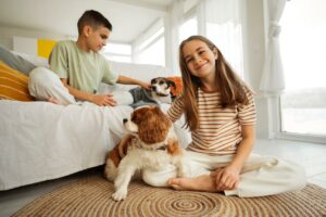 Guide To Preparing For A New Puppy