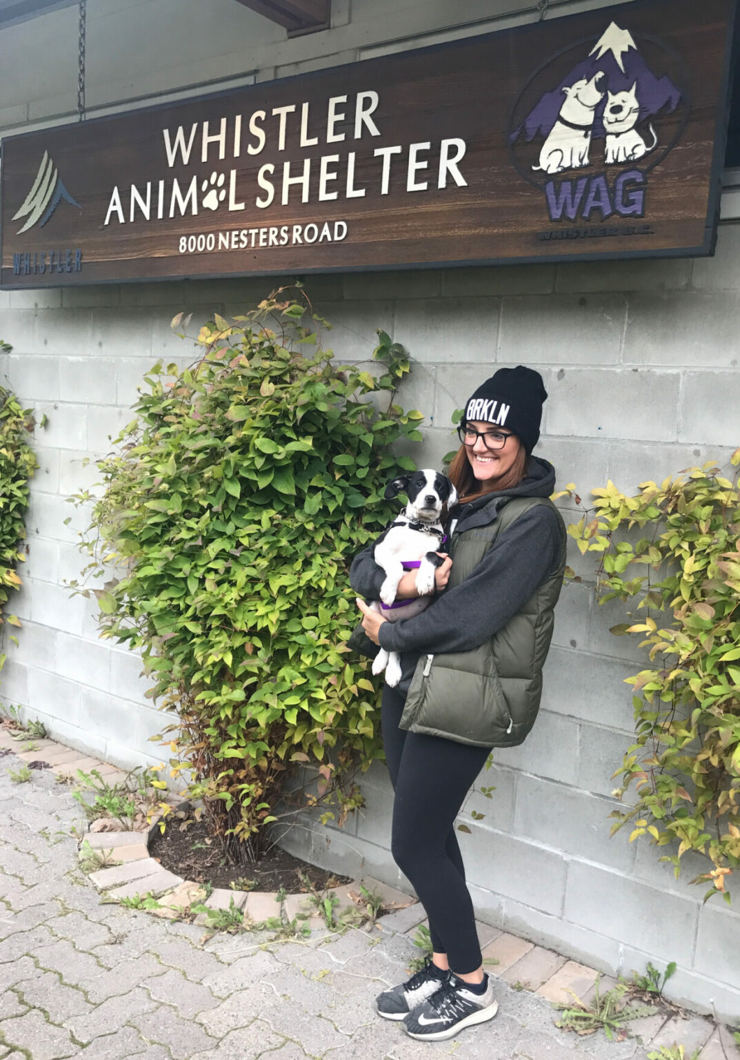 Strengthening Community Bonds BC Pet Registry's Role in Pet Reunification with Local