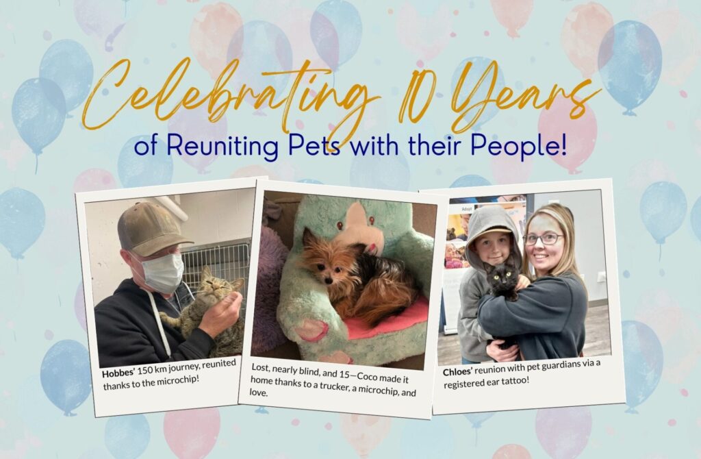 reunion story submission 10 year anniversary
