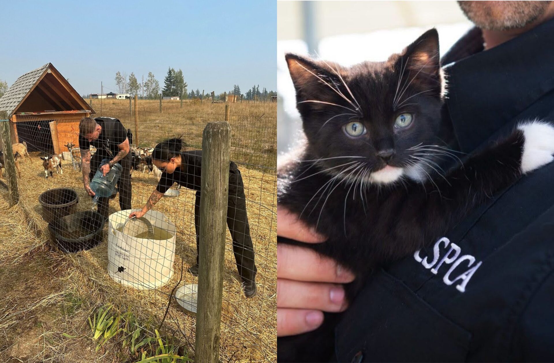 West Kelowna Fire, BC SPCA officers