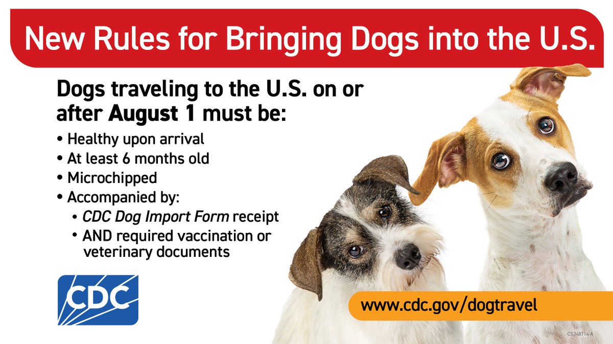 New CDC Travel Regulations Bringing Dogs Into U.S.