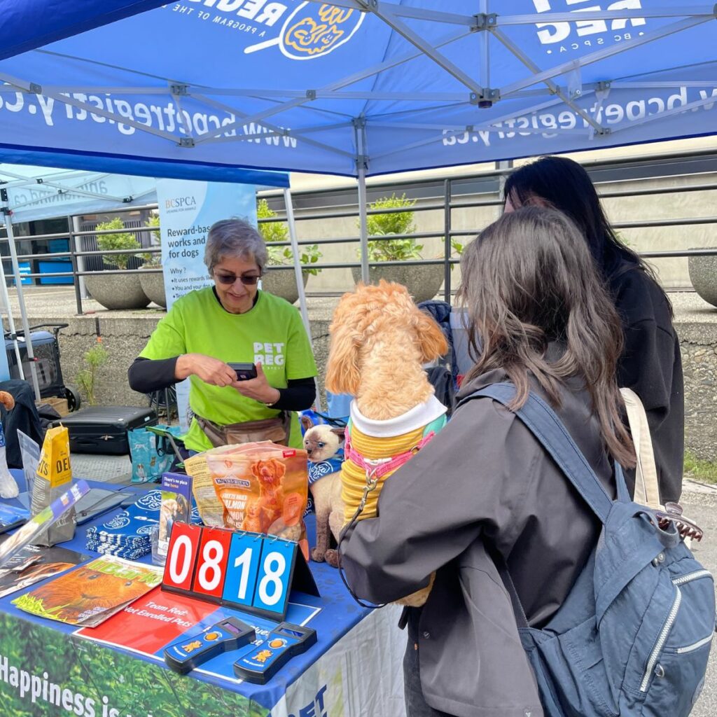 BC SPCA BC Pet Registry Volunteer