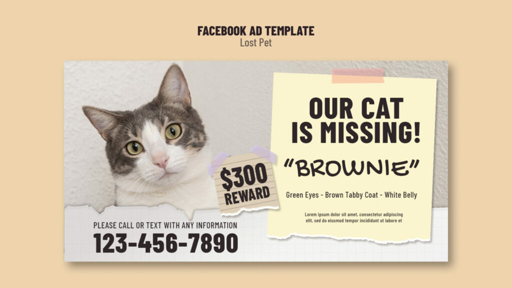 lost cat report and poster