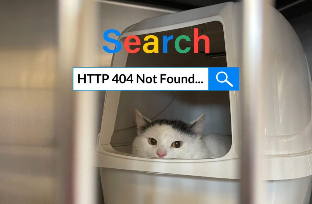 unlinked database page not found