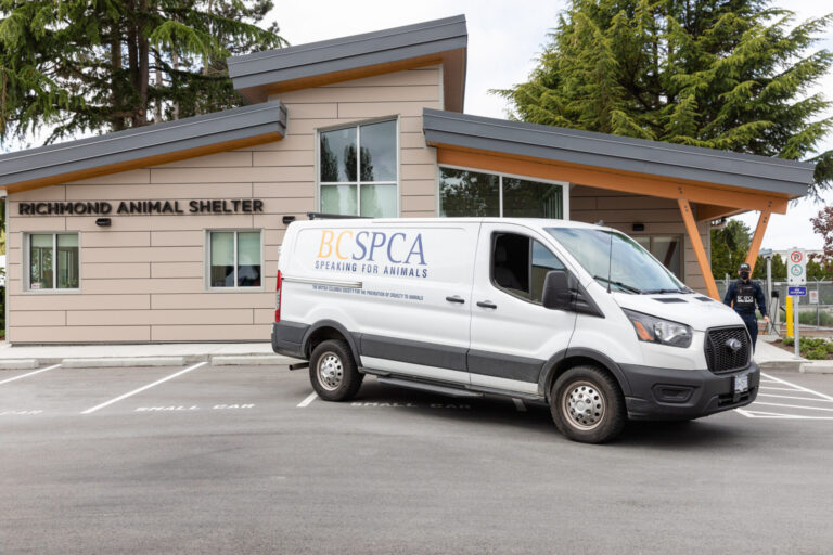 bc spca van