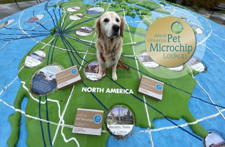 aaha universal pet microchip lookup