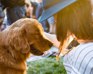 Lost Pet Reunion by BC Pet Registry