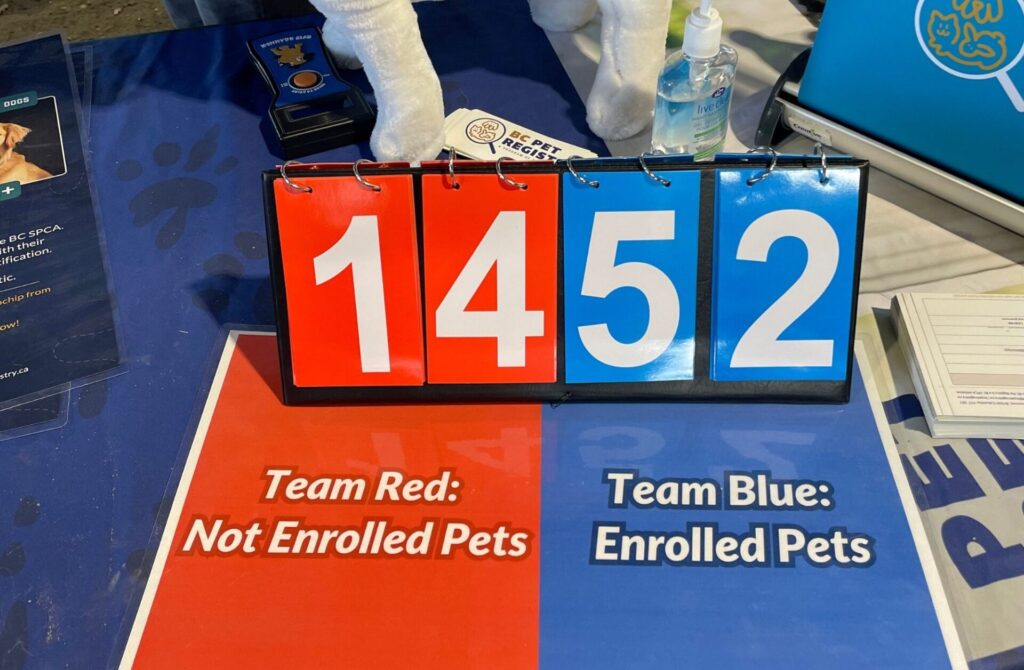 National Pet Day Sunday Market, Friendly Paws Society