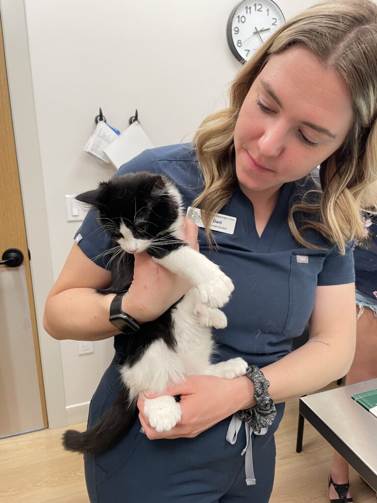 City Centre Veterinary Clinic Technician Student Dani