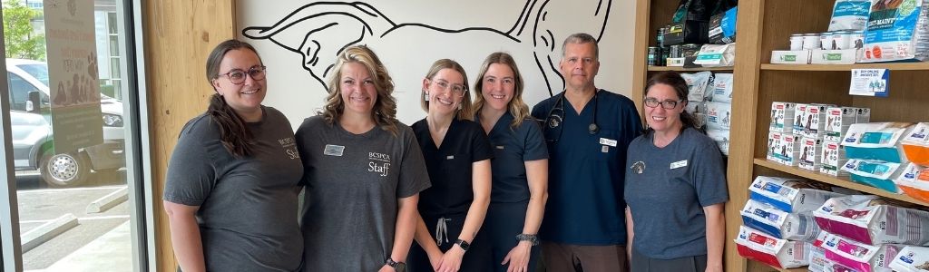 City Centre Veterinary Clinic Team Kelowna