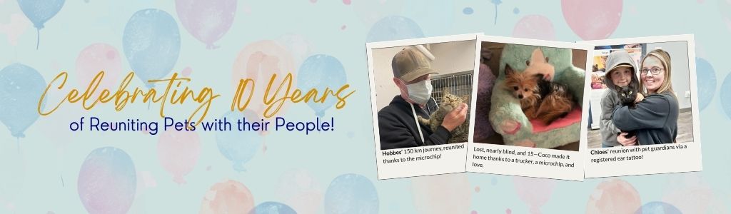 Celebrating 10 Years BCPR