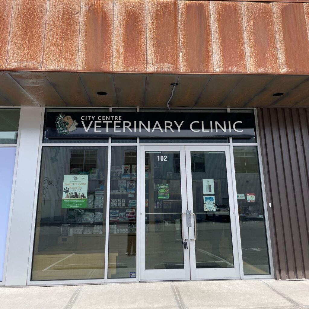 City Centre Veterinary Clinic Kelowna