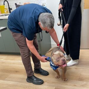 City Centre Vet Kelowna
