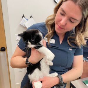 City Centre Vet Kelowna