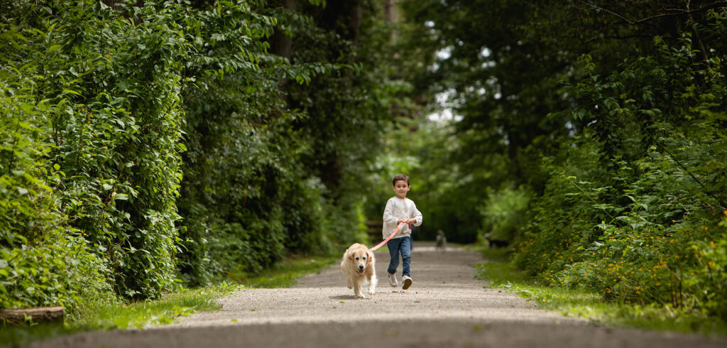 Dog on leash with little boy on a path in the park.