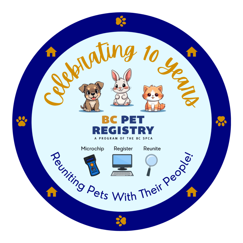 10 year anniversary BC Pet Registry