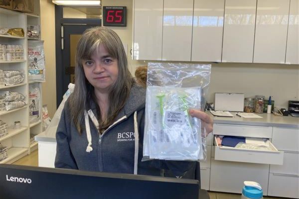 bc pet registry microchips, bcspca hospital