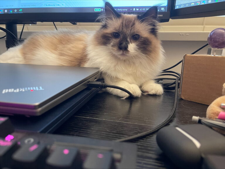 Pets microchip protection at workplace