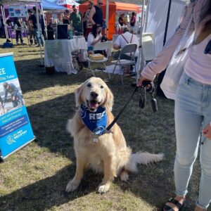 2025 PawsFest Dogs Pets (1)