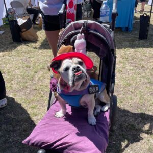 2025 PawsFest Dogs Pets (18)