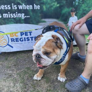 2025 PawsFest Dogs Pets (19)