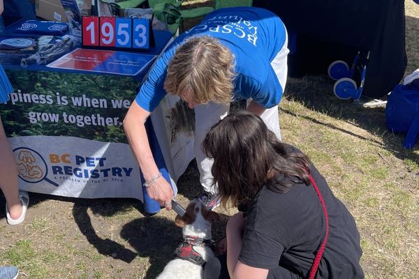 2025 PawsFest Volunteers (1)