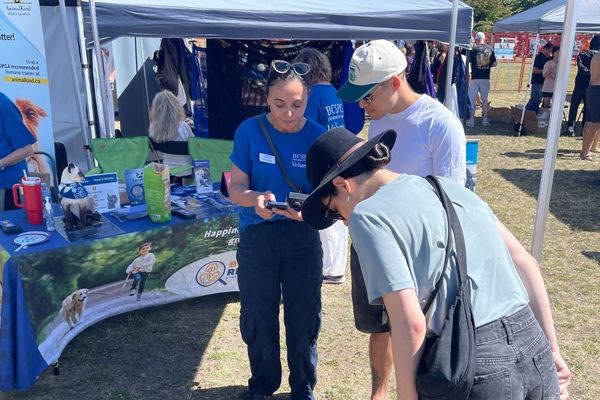 2025 PawsFest Volunteers (2)