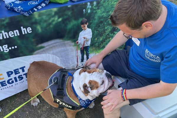 2025 PawsFest Volunteers (3)
