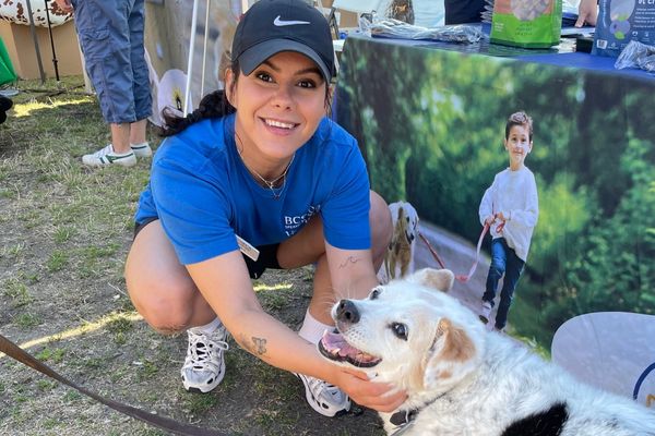 2025 PawsFest Volunteers (4)