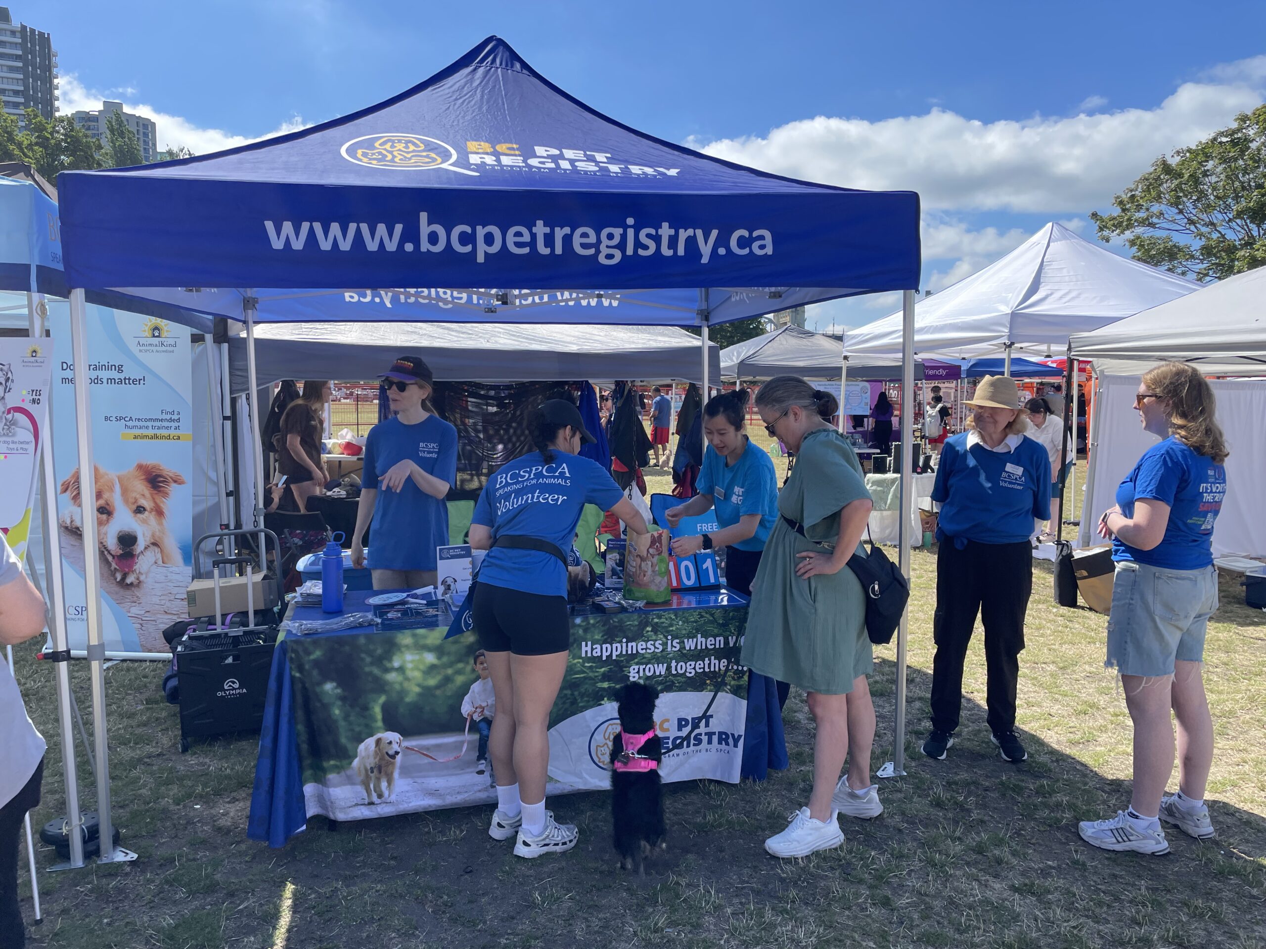 2025 PawsFest Volunteers (2)