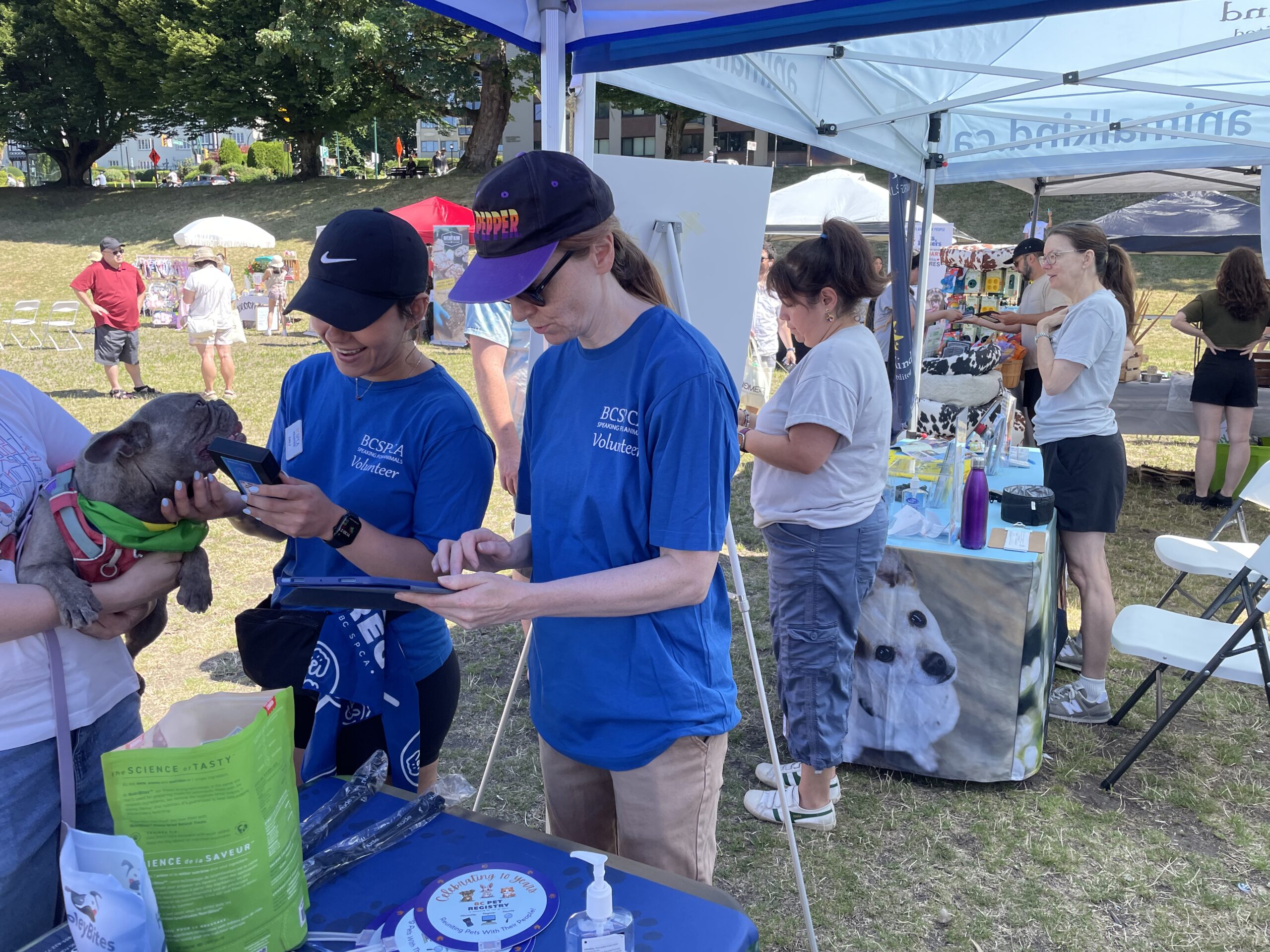 2025 PawsFest Volunteers (2)