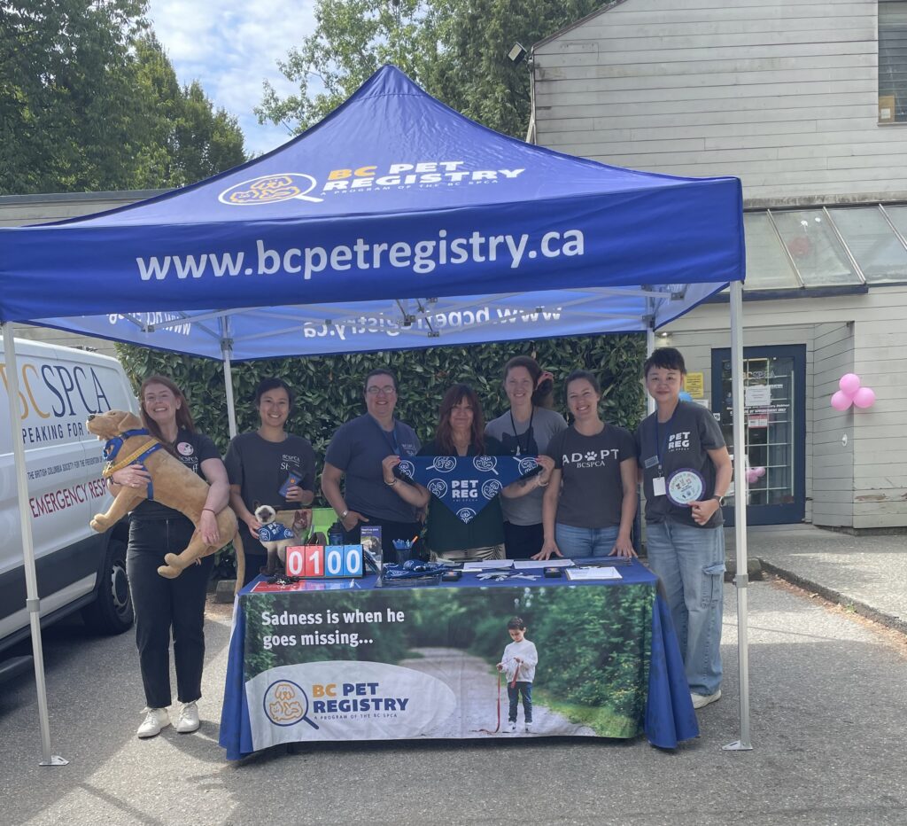 BC SPCA Team