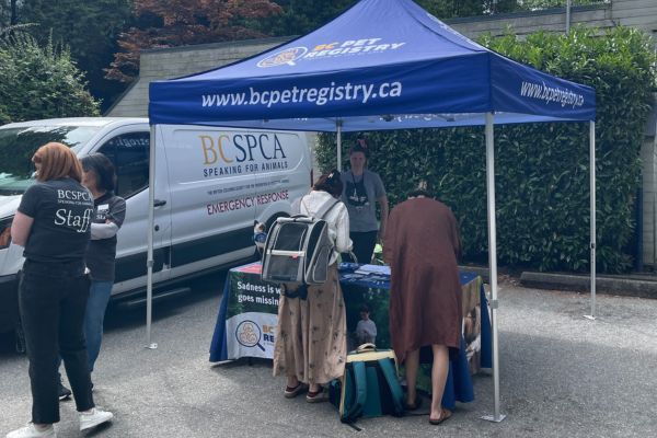 BC SPCA Vancouver Microchip Clinic