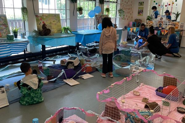 BC SPCA Vancouver Microchip Clinic Piggie Palooza