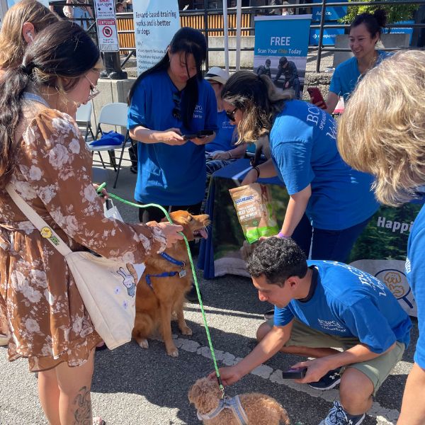BC SPCA BC Pet Registry volunteers