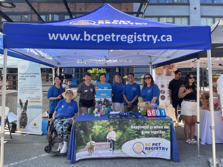 2025 Pet-a-Palooza BC Pet Registry Team