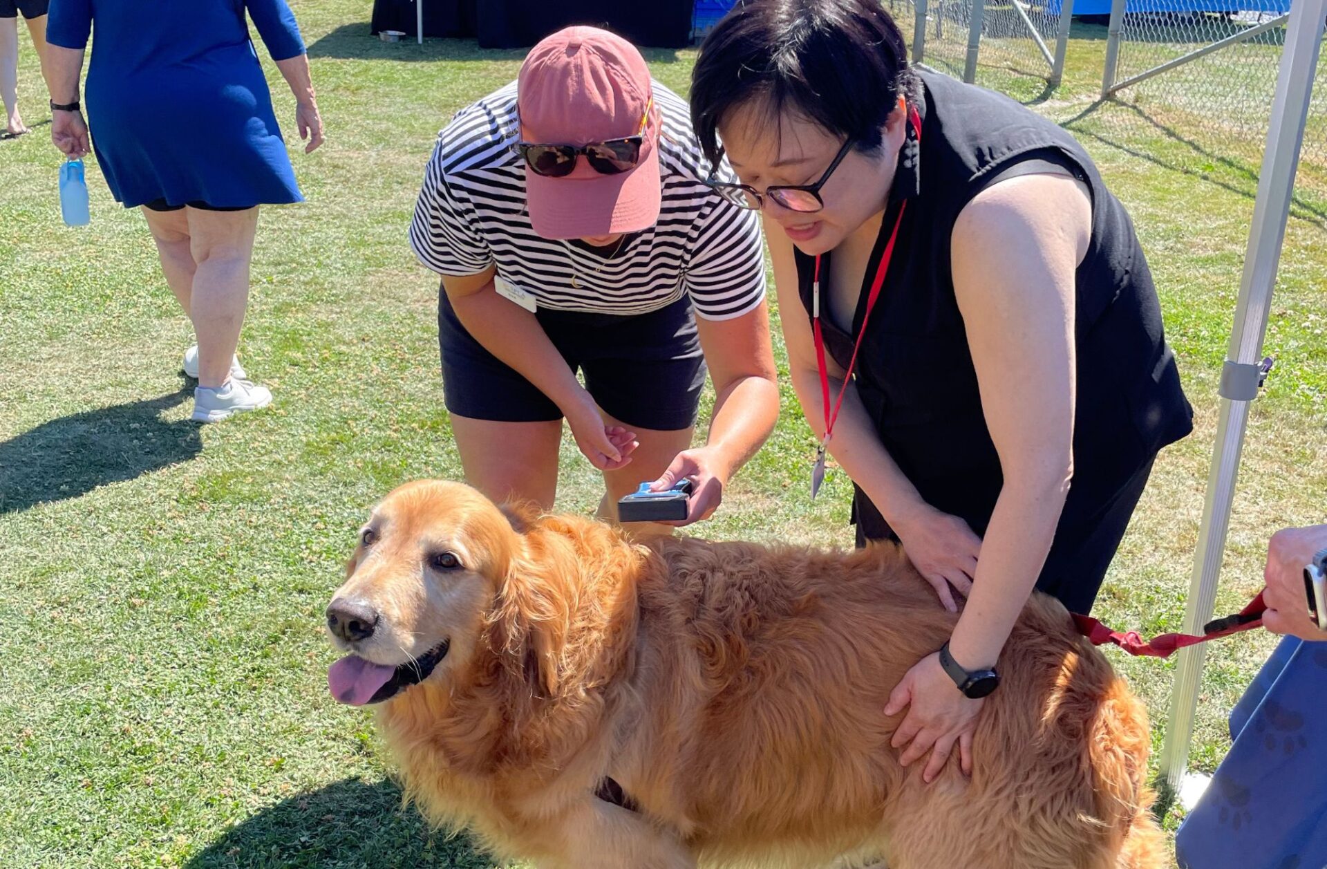 Volunteers 2025 Delta Community Animal Expo