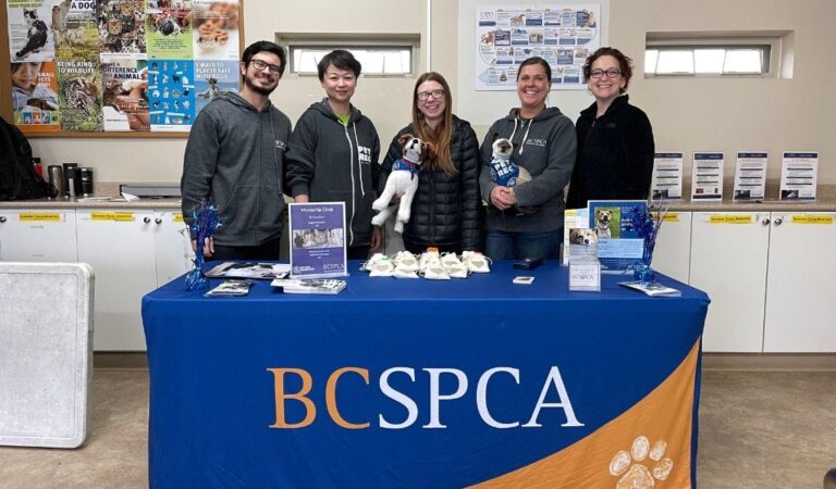 BC SPCA BC Pet Registry