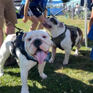 2025 Delta Community Animal Expo