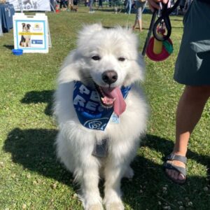 2025 Delta Community Animal Expo