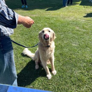 2025 Delta Community Animal Expo