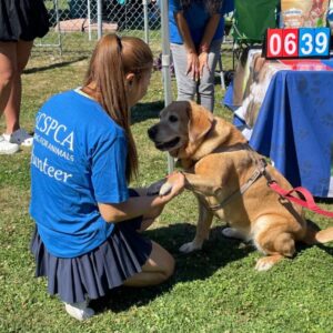 Volunteers 2025 Delta Community Animal Expo (8)
