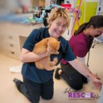 BC Pet Registry (10)