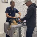 BC Pet Registry (12)