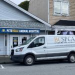 BC Pet Registry (14)