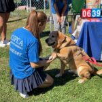 BC Pet Registry (5)