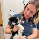 BC Pet Registry (7)