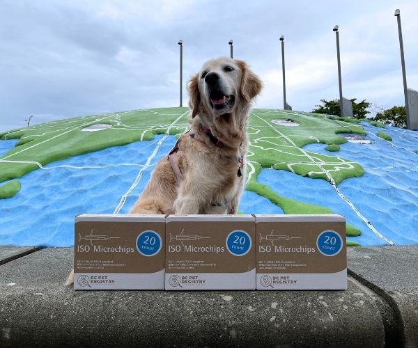 BC SPCA BC Pet Registry microchips