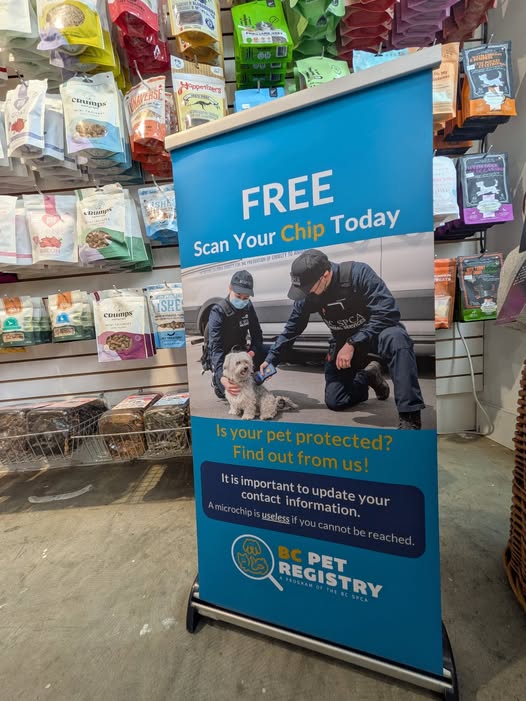 Discover Dogs free microchip scanning program