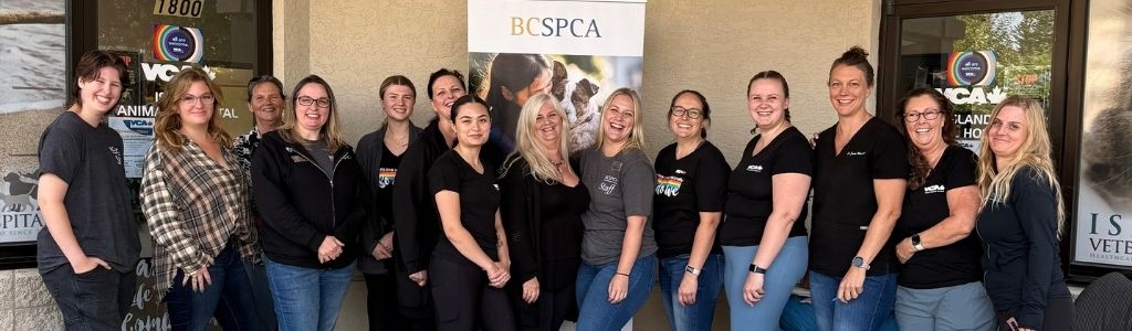 20250907 BC SPCA Nanaimo Microchip Clinic x VCA Island Animal Hospital